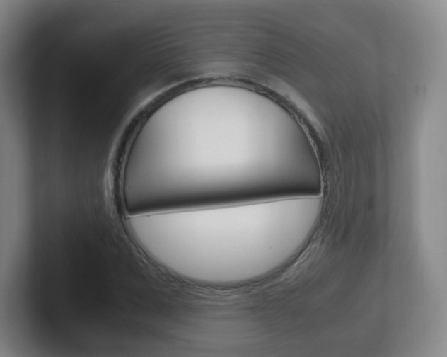 X0000102300975200807251018