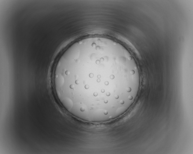 X0000102300978200807251018