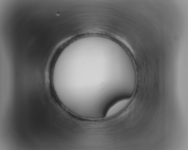 X0000102300979200807251018