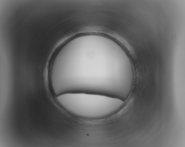 X0000102300982200807251018