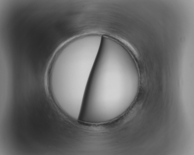 X0000102300983200807251017