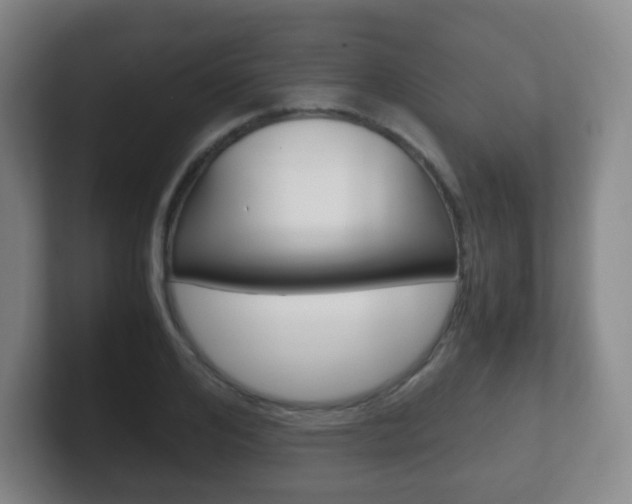 X0000102300984200807251017