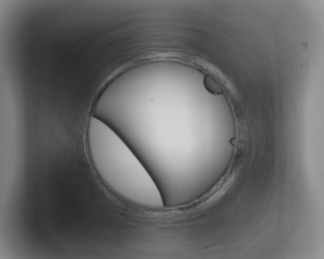 X0000102300985200807251017