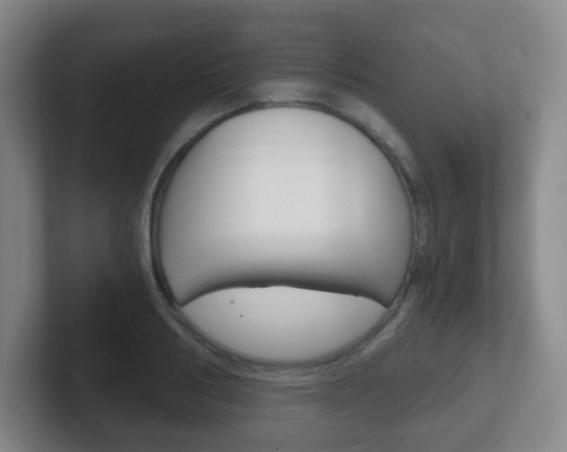 X0000102300986200807251017