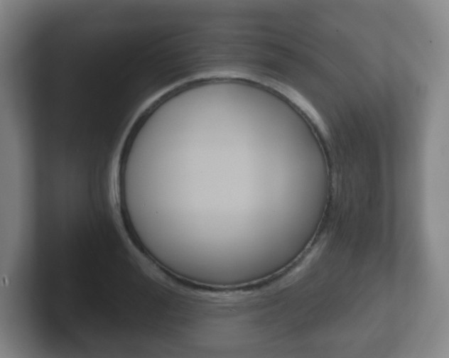 X0000102300988200807251017