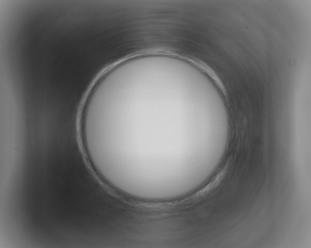 X0000102300989200807251017