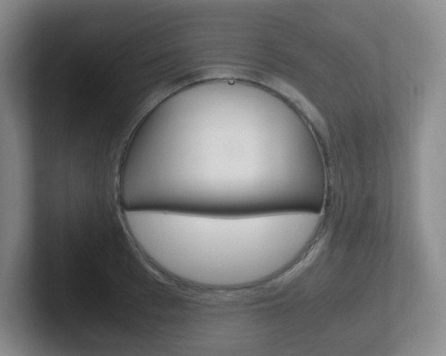 X0000102300993200807251017