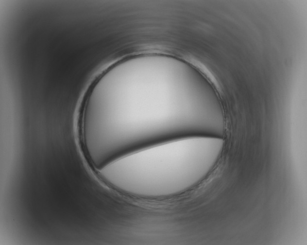 X0000102300995200807251017