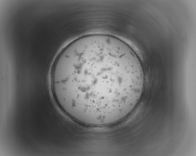 X0000102300998200807251017