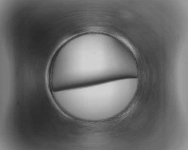 X0000102300999200807251017
