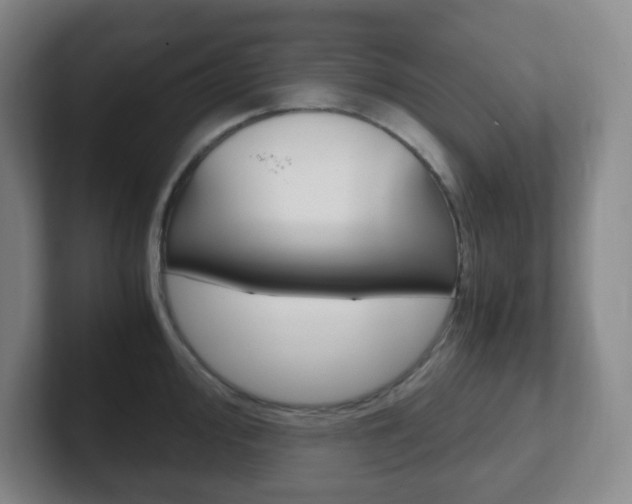 X0000102301000200807251017