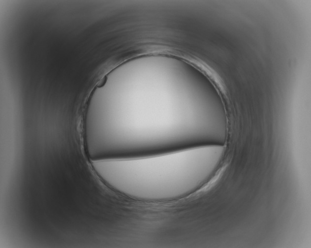 X0000102301001200807251017