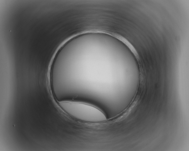 X0000102301004200807251017