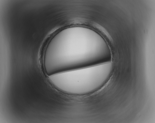 X0000102301018200807251017