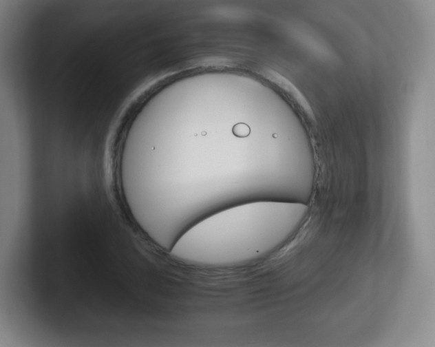 X0000102301027200807251017