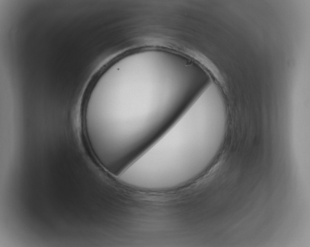 X0000102301028200807251017