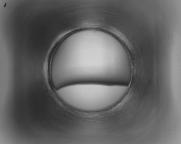 X0000102301030200807251017