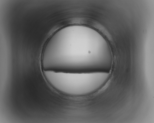 X0000102301033200807251017