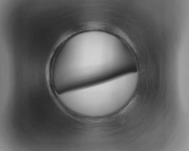 X0000102301034200807251017