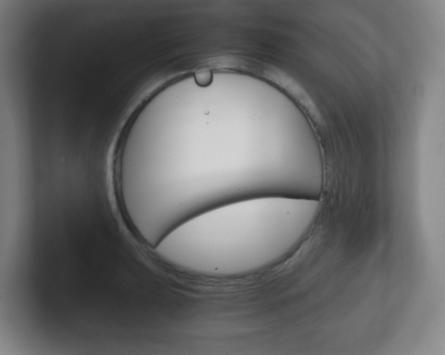 X0000102301039200807251017