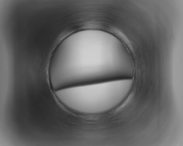 X0000102301041200807251017