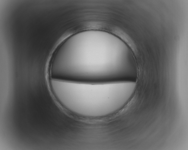 X0000102301042200807251017