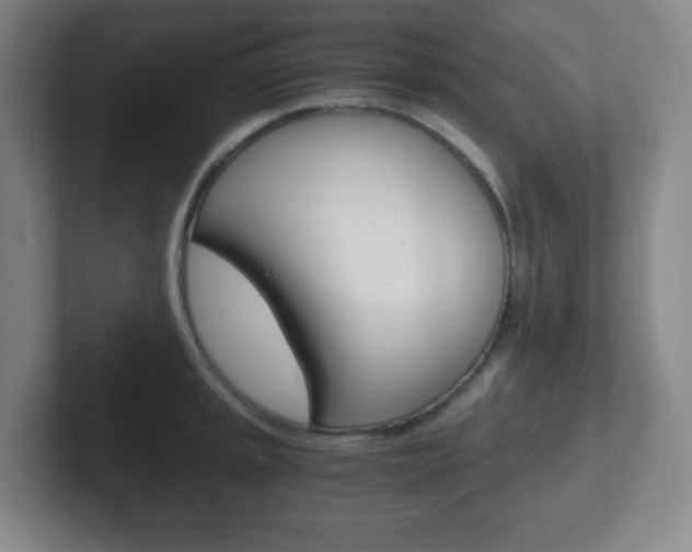 X0000102301045200807251017