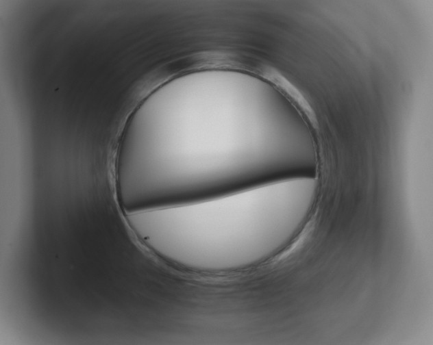 X0000102301049200807251017