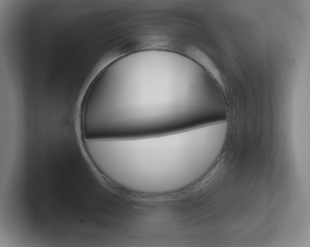 X0000102301050200807251017