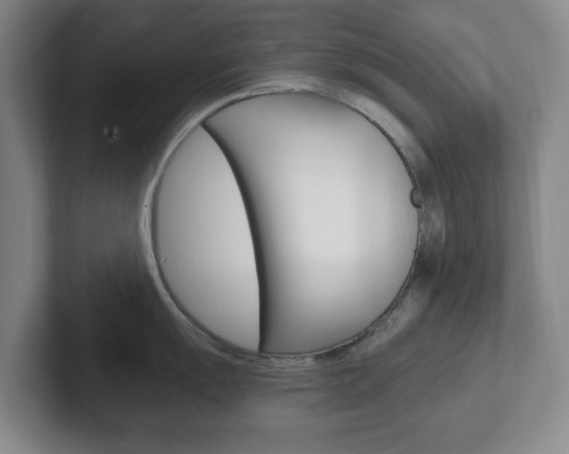 X0000102301055200807251017