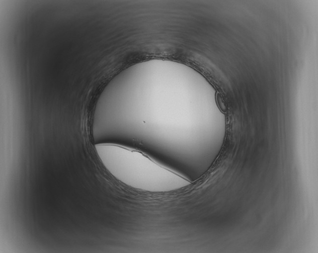 X0000102301058200807251017