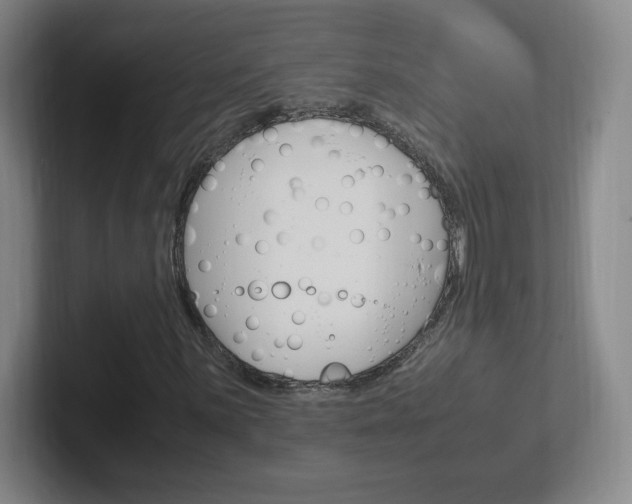 X0000102301059200807251017