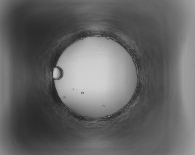 X0000102301061200807251016