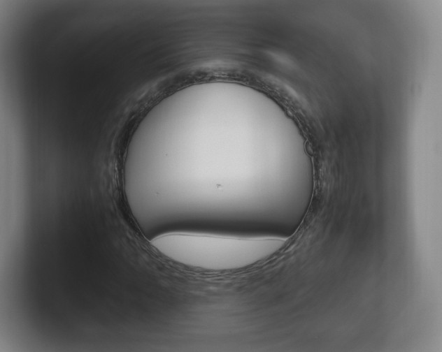 X0000102301062200807251016