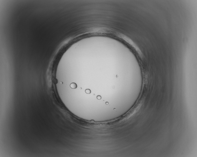 X0000102301067200807251016
