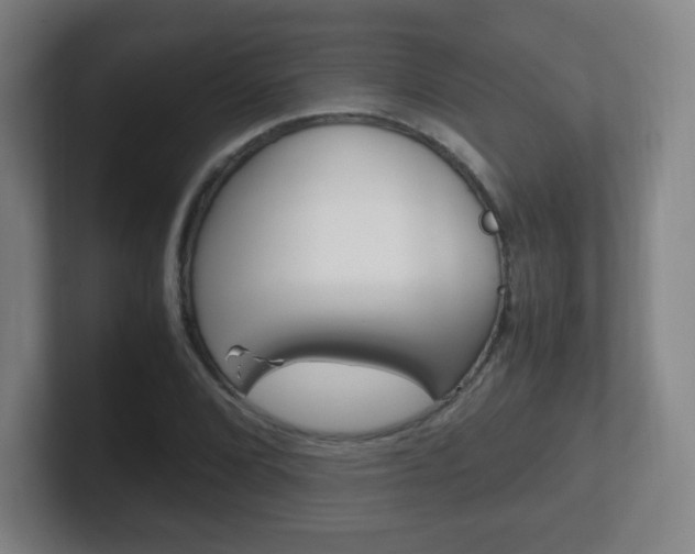 X0000102301072200807251016