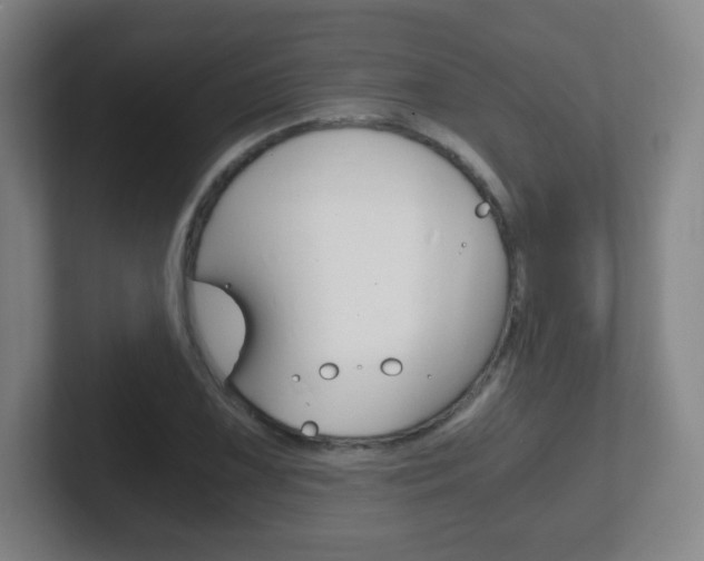 X0000102301075200807251016
