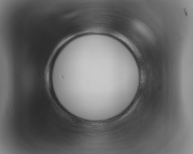 X0000102301078200807251016