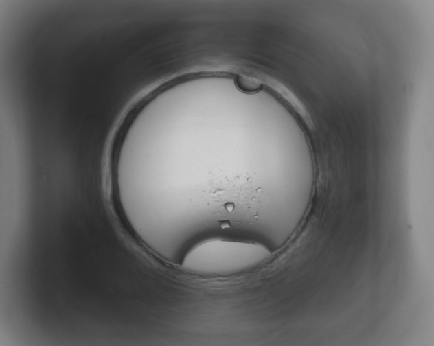 X0000102301080200807251016