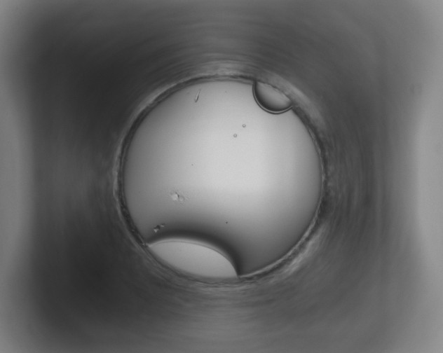 X0000102301081200807251016