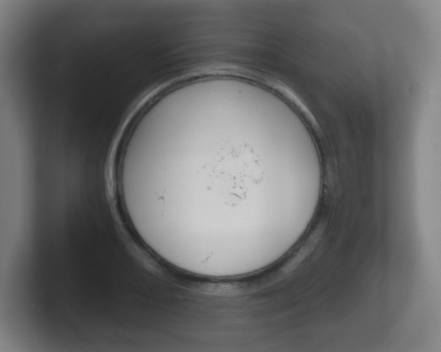 X0000102301082200807251016