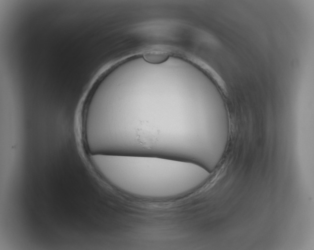 X0000102301083200807251016