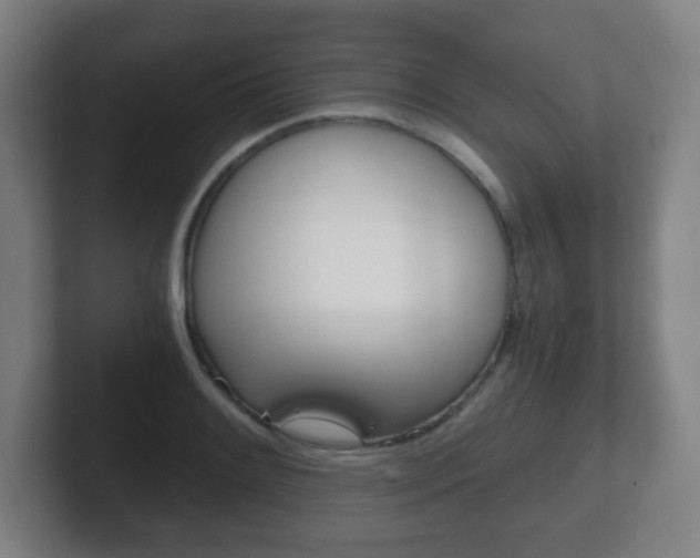 X0000102301084200807251016