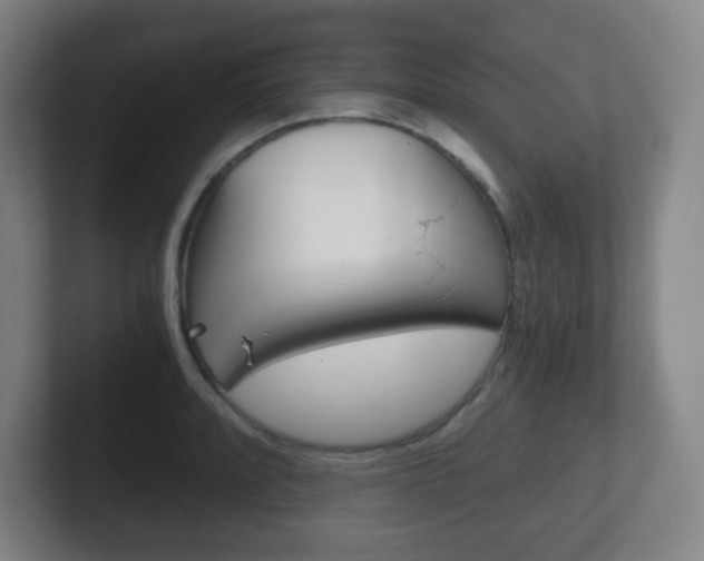X0000102301088200807251016