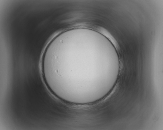 X0000102301090200807251016