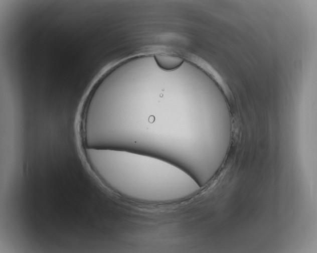 X0000102301091200807251016
