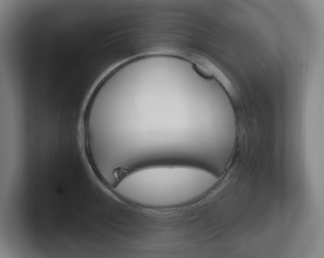 X0000102301092200807251016