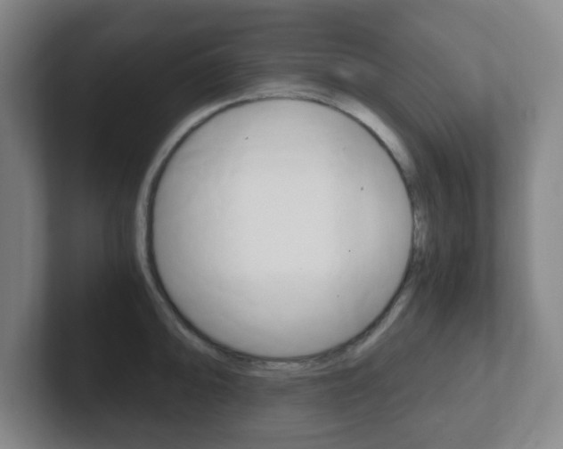 X0000102301094200807251016