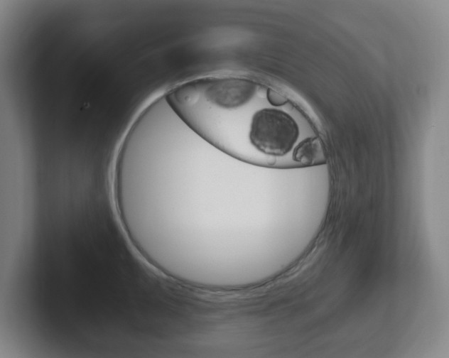 X0000102301095200807251016