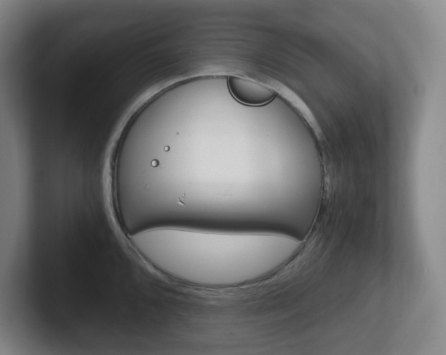 X0000102301096200807251016